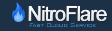 Nitroflare 365 days Premium Account